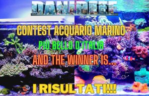Il vincitore del contest dell’acquario più bello d’Italia è…