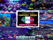 Contest Acquario Marino: in gara i magnifici 8 acquari marini rimasti