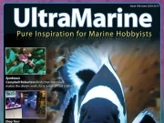 UltraMarine numero 106 è appena uscito, non perdetevelo!