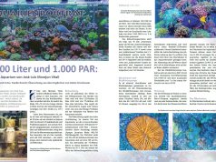 Il bellissimo acquario marino di Pasquale Ruocco su Koralle 150