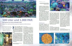 Il bellissimo acquario marino di Pasquale Ruocco su Koralle 150