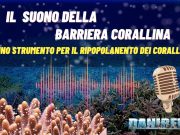 Il ruolo dei suoni delle barriere coralline nello sviluppo dei coralli La ricerca ha rivelato che i suoni delle barriere coralline sane possono giocare un ruolo cruciale nel ripopolamento dei coralli in barriere degradate. *Coral settlement* e *acustica marina* sono strumenti potenti per ripristinare questi ecosistemi vitali.