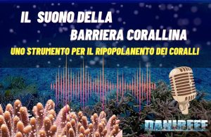 Il ruolo dei suoni delle barriere coralline nello sviluppo dei coralli La ricerca ha rivelato che i suoni delle barriere coralline sane possono giocare un ruolo cruciale nel ripopolamento dei coralli in barriere degradate. *Coral settlement* e *acustica marina* sono strumenti potenti per ripristinare questi ecosistemi vitali.