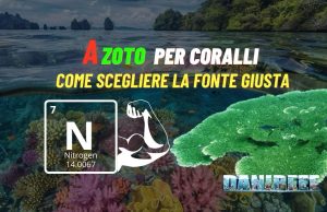 Azoto per coralli: scegliere la fonte giusta per un acquario perfetto Azoto per coralli