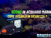 Ozono in Acquario Marino: Come Dosarlo in Sicurezza Ozono in acquario marino