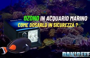 Ozono in Acquario Marino: Come Dosarlo in Sicurezza Ozono in acquario marino