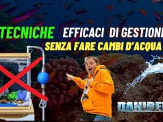 Acquario marino senza cambi d’acqua? Tecniche moderne per riuscirci Manuteznione dell'acquario Marino