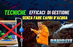 Acquario marino senza cambi d’acqua? Tecniche moderne per riuscirci Manuteznione dell'acquario Marino