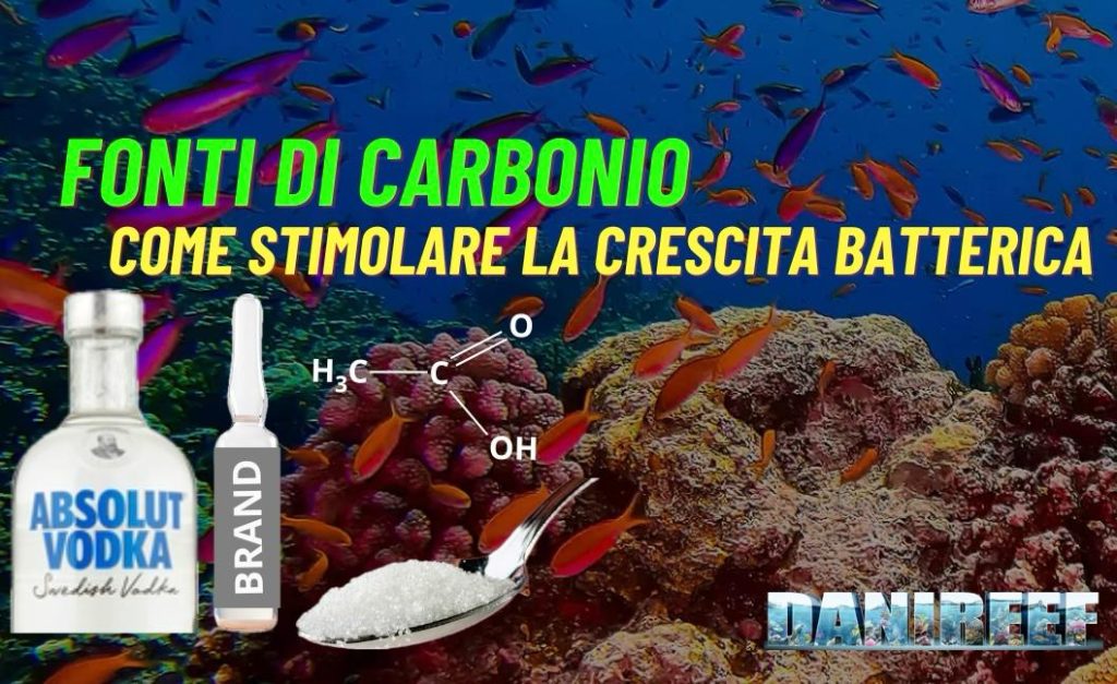 Fonti di Carbonio