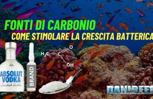 Fonti di carbonio in acquari marini: guida pratica tra vodka aceto zucchero e prodotti commerciali Fonti di Carbonio