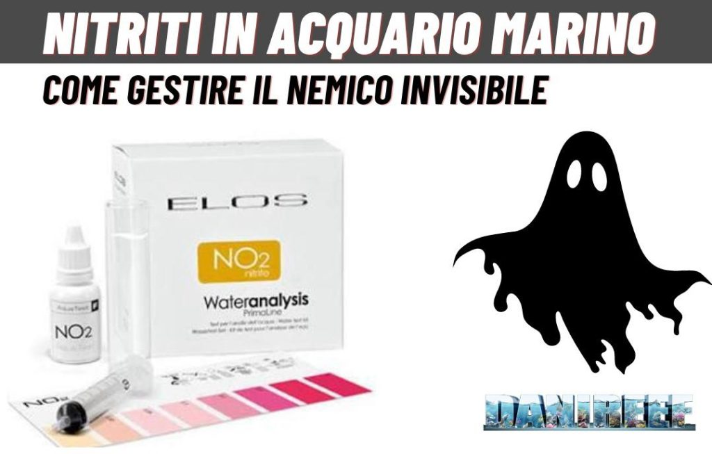 Nitriti nell'Acquario Marino: Come Gestire il nemico invisibile