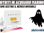 Nitriti in acquario