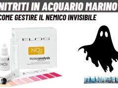 Nitriti nell’Acquario Marino: Come Gestire il nemico invisibile Nitriti in acquario