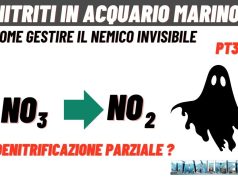 Denitrificazione incompleta: il processo che alza i nitriti in acquario Nitriti