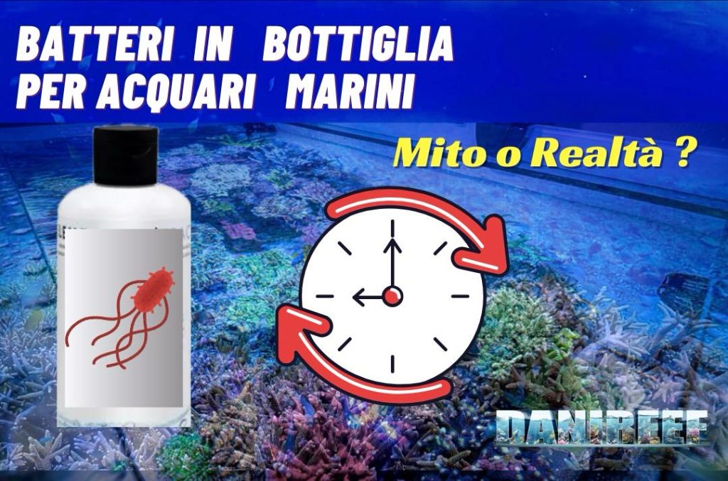 Batteri in bottiglia per acquari marini – confronto efficacia e alternative di gestione biologica