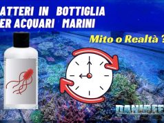 Batteri in bottiglia per acquari marini: funzionano davvero? Confronto, alternative e consigli pratici Batteri in bottiglia