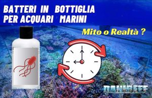 Batteri in bottiglia per acquari marini: funzionano davvero? Confronto, alternative e consigli pratici Batteri in bottiglia