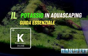 Potassio e aquascaping: guida completa per piante sane e rigogliose Potassio