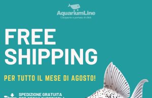 AquariumLine: scopri le spedizioni gratis per tutto agosto