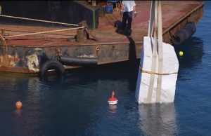 Un museo sottomarino per salvare il mare grazie alla casa dei pesci