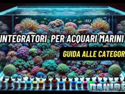 Integratori base per Acquari Marini: come orientarsi tra i prodotti per coralli integratori per acquari marini di coralli