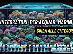 Integratori base per Acquari Marini: come orientarsi tra i prodotti per coralli integratori per acquari marini di coralli