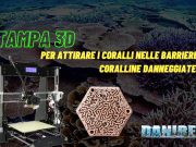 Stampa 3D e coralli: la nuova frontiera per salvare le barriere coralline Stampa 3d