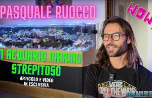 Uno degli acquari marini più belli d’Italia: quello di Pasquale Ruocco