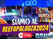 ReefAPalooza 2024 Orlando: solo coralli stratosferici