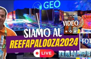 ReefAPalooza 2024 Orlando: solo coralli stratosferici
