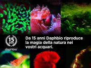 15 anni di Daphbio: l’occasione per il 15% di sconto per pochi giorni