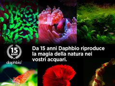 15 anni di Daphbio: l’occasione per il 15% di sconto per pochi giorni