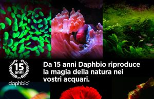 15 anni di Daphbio: l’occasione per il 15% di sconto per pochi giorni