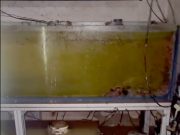 Inondato Franky’s Frag: Aiutiamolo tutti con una donazione