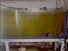 Inondato Franky’s Frag: Aiutiamolo tutti con una donazione