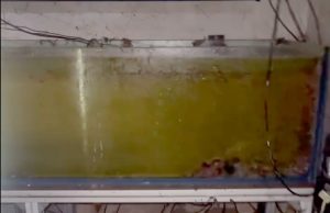 Inondato Franky’s Frag: Aiutiamolo tutti con una donazione