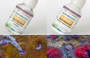 X-PAND e N-FUSE: nuovi prodotti per nutrire i coralli efficacemente