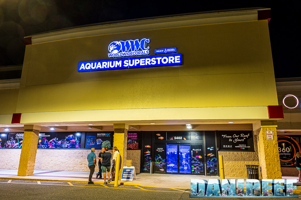 Siamo stati da WWC - World Wide Corals: attenzione alle coronarie