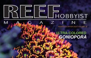 Reef Hobbyist Magazine ci mostra le Goniopore da acquacoltura