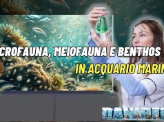 Microfauna, Meiofauna e Benthos nell’Acquario Marino – Parte 1 microfauna