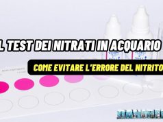 Test dei nitrati in acquario: come evitare l’errore dei nitriti
