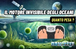Fitoplancton: la biomassa che nutre gli oceani e produce ossigeno
