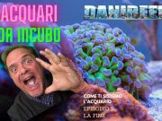 Acquari da incubo: come è andata a finire? Conclusioni