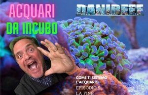 Acquari da incubo: come è andata a finire? Conclusioni