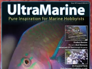 E’ uscito UltraMarine numero 107 con tanti nuovi articoli