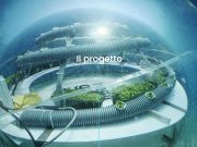 La coltivazione subacquea? Nemo’s Garden la rende possibile!