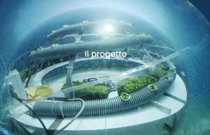 La coltivazione subacquea? Nemo’s Garden la rende possibile!