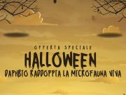 Daphbio per Halloween: Raddoppia la MicroFauna in Ogni Ordine