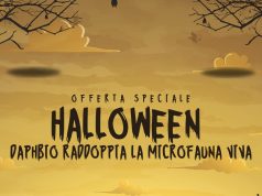 Daphbio per Halloween: Raddoppia la MicroFauna in Ogni Ordine