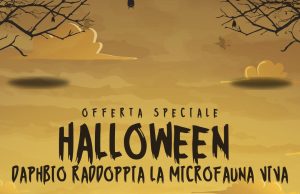 Daphbio per Halloween: Raddoppia la MicroFauna in Ogni Ordine